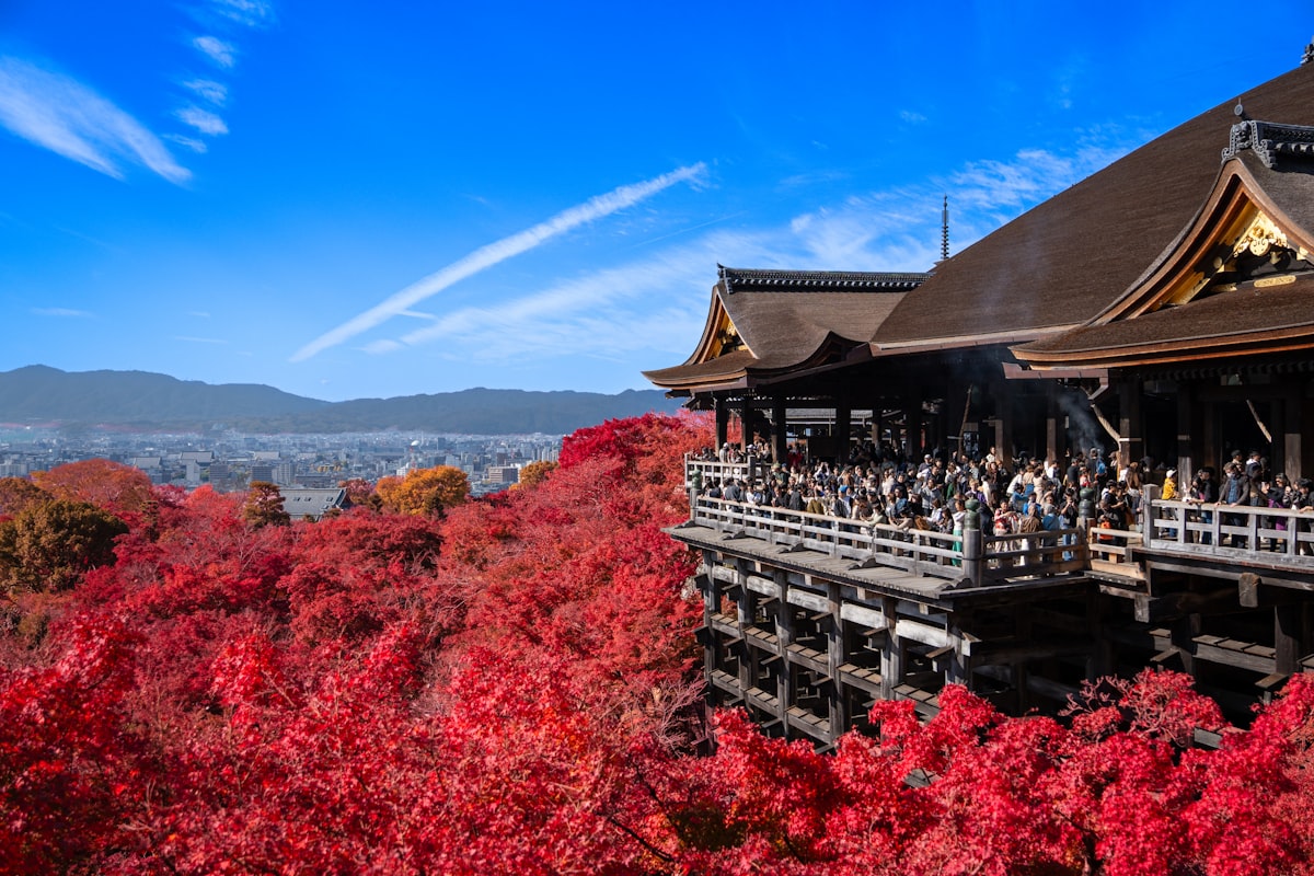 Autumn colours in Kyoto